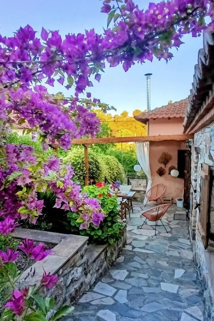 Paliouri House Villa Holiday home